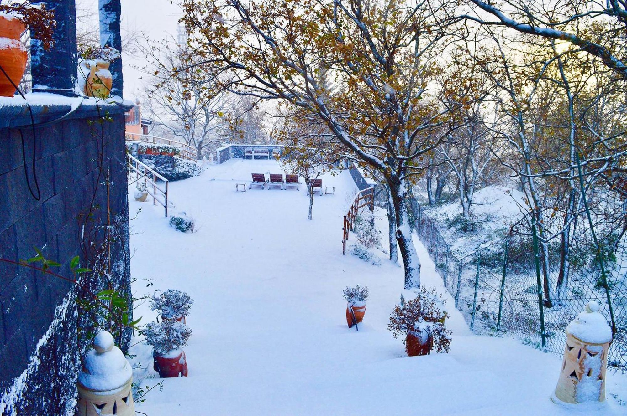 Villa Del Gelso Chalet Nel Parco Delletna Mascali Dış mekan fotoğraf