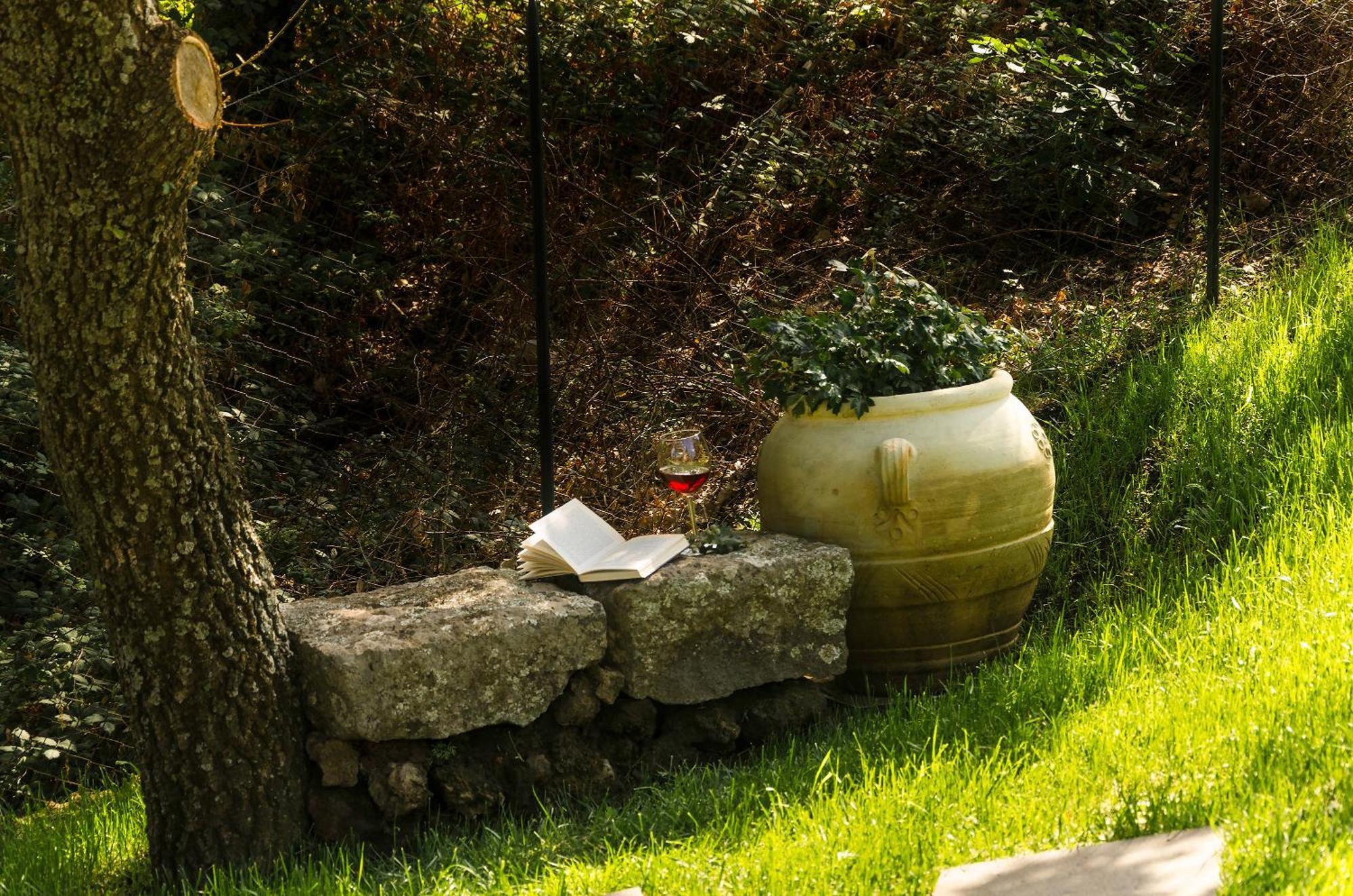 Villa Del Gelso Chalet Nel Parco Delletna Mascali Dış mekan fotoğraf